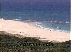 Cadiz:Playa de Hierbabuena