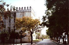Cadiz:En la primera foto, el conjunto de la Alameda Vieja con una de las torres del Alcázar a principios del siglo XX. Sobre estas líneas, la misma vista a principios del siglo XXI.
