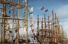 Cadiz:Así se veía el muelle de Cádiz; lleno de mástiles de los veleros participantes