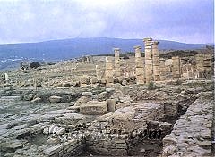 Cadiz:Ciudad romana de Baelo-Claudia (Bolonia, Tarifa)