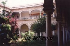 Cadiz:Antiguo claustro del convento