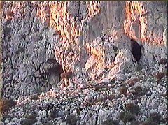 Cadiz:Cuevas en la Sierra del Caíllo